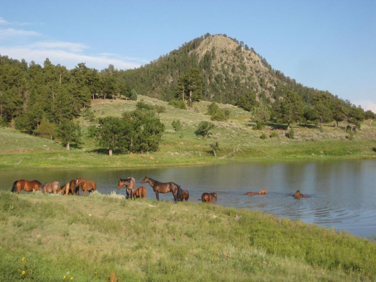 הוילה Devils Tower Lake Guest Ranch מראה חיצוני תמונה