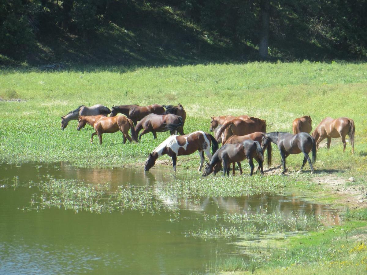 הוילה Devils Tower Lake Guest Ranch מראה חיצוני תמונה
