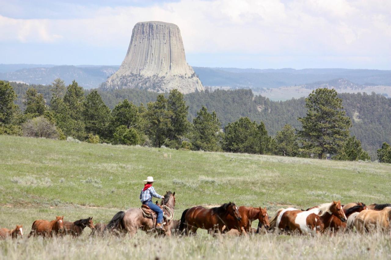 הוילה Devils Tower Lake Guest Ranch מראה חיצוני תמונה